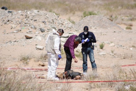 CHI SALE E CHI SCENDE. Rimescolamento in uno dei principali cartelli della droga in Messico