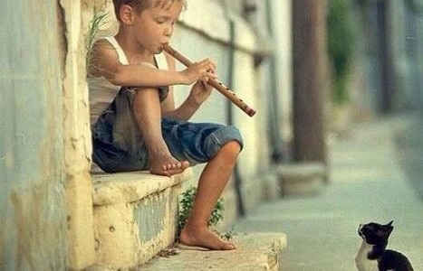 COSA SUCCEDE IN VENEZUELA. Analisi ragionata del direttore del Centro Gumilla, osservatorio di studi e azione sociale retto dai gesuiti COSA SUCCEDE IN VENEZUELA. Analisi ragionata del direttore del Centro Gumilla, osservatorio di studi e azione sociale retto dai gesuiti