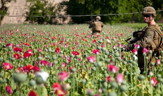 IL GUATEMALA VERSO LA DEPENALIZZAZIONE DELLA MARIHUANA. Dopo l’Uruguay anche il paese centroamericano considera questa strada. Produzione regolata per scopi farmaceutici IL GUATEMALA VERSO LA DEPENALIZZAZIONE DELLA MARIHUANA. Dopo l’Uruguay anche il paese centroamericano considera questa strada. Produzione regolata per scopi farmaceutici