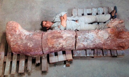 IL GODZILLA DELLA PATAGONIA. I resti del più grande dinosauro del mondo scoperti in Argentina