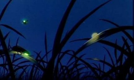 L’AMAZZONIA E CHI LA DIFENDE. Hummes: “In rete si può fare di più”. Nove paesi dell’America Latina uniscono sforzi L’AMAZZONIA E CHI LA DIFENDE. Hummes: “In rete si può fare di più”. Nove paesi dell’America Latina uniscono sforzi