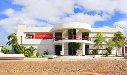 EFFETTI COLLATERALI DELLA NARCOGUERRA. In Messico la violenza dei cartelli della droga minaccia le Università. E alcune chiudono EFFETTI COLLATERALI DELLA NARCOGUERRA. In Messico la violenza dei cartelli della droga minaccia le Università. E alcune chiudono