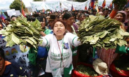 COCA AL PAPA. I coltivatori boliviani della nota pianta regaleranno a Francesco una torta di coca al suo arrivo in Bolivia