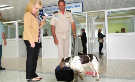 E’ CUBA L’AVVERSARIO N. 1 DELLA MARIHUANA. Il governo è ben lontano da liberalizzare il consumo. E si oppone al “mito della droga leggera senza effetti rilevanti di dipendenza”