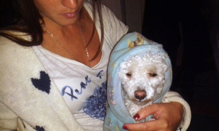 FURTO A LIETO FINE PER UNA BERGOGLIO. La donna, nipote di un cugino del Papa, si è imbattuta nei ladri intenti a svaligiarle la casa, e quel che è peggio…