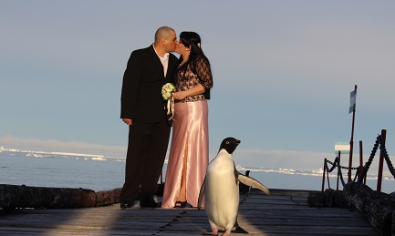 Matrimonio antartico. Foto di Leonardo Proverbio