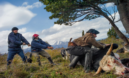 VOCI DALLA PATAGONIA. 13 vescovi argentini delle provincie del sud del paese lanciano un messaggio in cui rinnovano la scelta preferenziale per i poveri