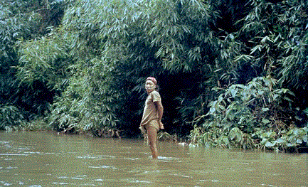 CIVILTA’ CHE UCCIDE. Survival International denuncia casi di avvelenamento nella tribù Nahua del Perù