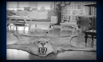 Una foto del maggio 1965 in bianco e nero divenuta famosa mostra la pelle di uno dei leoni uccisi da Hemingway