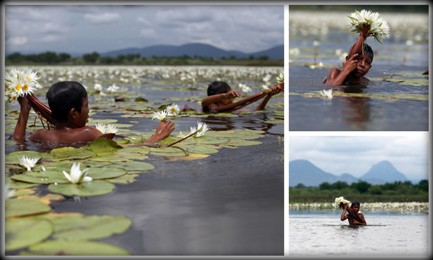 L’ALTRA FACCIA DEL GIGLIO. Il Messico emerge dalle ricerche come il paese latinoamericano con il maggior numero di persone in situazione di schiavitù L’ALTRA FACCIA DEL GIGLIO. Il Messico emerge dalle ricerche come il paese latinoamericano con il maggior numero di persone in situazione di schiavitù