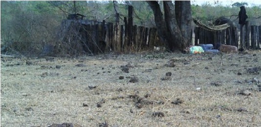 BRASILE. STRAGE DI CONTADINI NEL MATO GROSSO. Almeno 10 lavoratori agricoli sono stati assaliti e assassinati da un gruppo di incappucciati BRASILE. STRAGE DI CONTADINI NEL MATO GROSSO. Almeno 10 lavoratori agricoli sono stati assaliti e assassinati da un gruppo di incappucciati