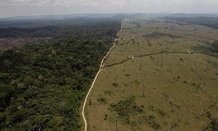 LA DISTRUZIONE DELL’AMAZZONIA (E NOSTRA). La deforestazione è in aumento. Solo nel 2016 distrutta un’area equivalente a sette volte la città di Rio de Janeiro.