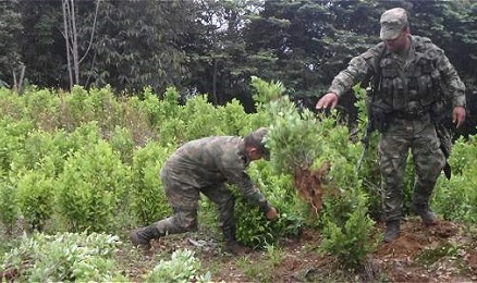LE GUERRE DELLA COLOMBIA. Si chiude quella con le Farc ma è ancora lontana la vittoria sulla coca. I nuovi piani del governo per far retrocedere la produzione