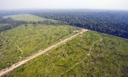 Vista aerea della foresta di Jamanxim, nello stato del Pará (Antônio Scorza/AFP)