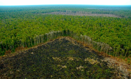 UN SINODO CHE RIGUARDA TUTTI. É quello sull’Amazzonia che si terrà a Roma in ottobre 2019. Si delineano nuove strade per evangelizzare i popoli indigeni