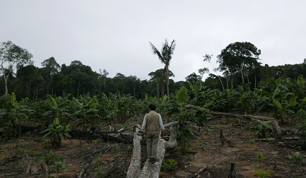 Demetrio Pacheco, un ambientalista peruviano più volte minacciato per difendere il suo territorio dal disboscamento illegale (Foto Jack Lo vía Mongabay Latam)