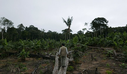 DIFENDERE L’AMBIENTE COSTA CARO. E l’America Latina si conferma come l’area che paga il prezzo più alto: 116 attivisti assassinati nel 2017