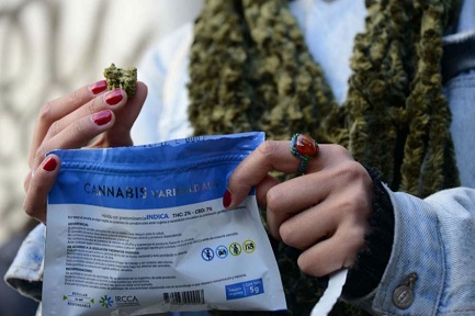 NELL’URUGUAY DELLA MARIHUANA LIBERA IL NARCOTRAFFICO È PIÚ FORTE DI PRIMA. Gli scontri tra bande per il controllo del territorio sono aumentati e si sono estesi nel Paese